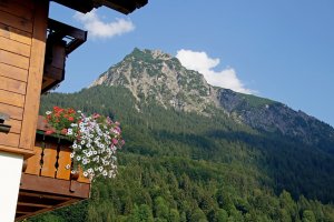 Ferienwohnung 4 – Balkonblick