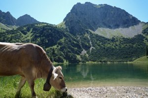 Oberstdorf Sommer
