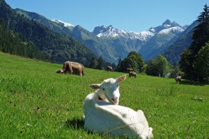 Oberstdorf Sommer
